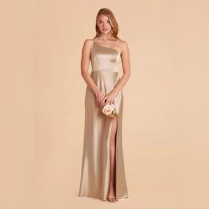 NWT Birdy Grey Kensie Dress Neutral Champagne S